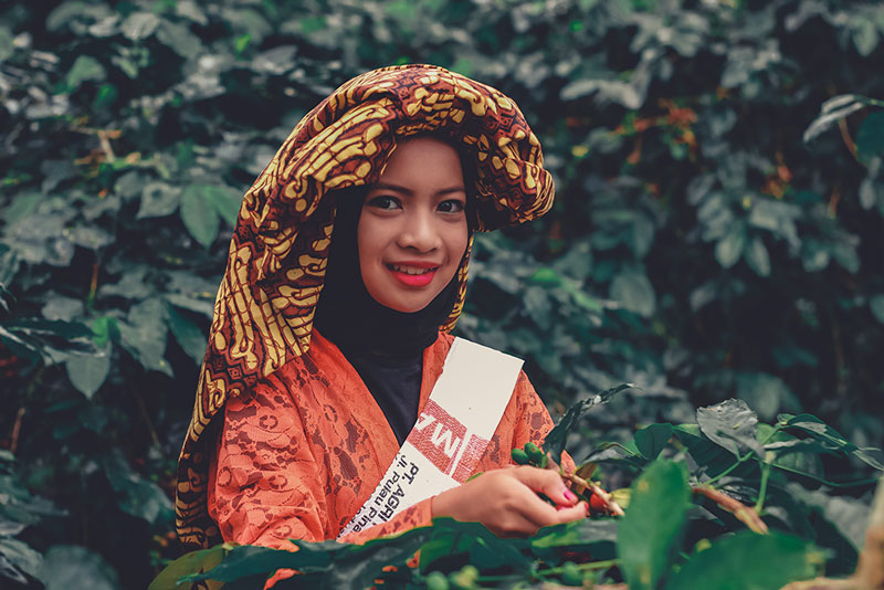 Cover Petani Kipi Desa Rembele. © Foto: fzn.my.id